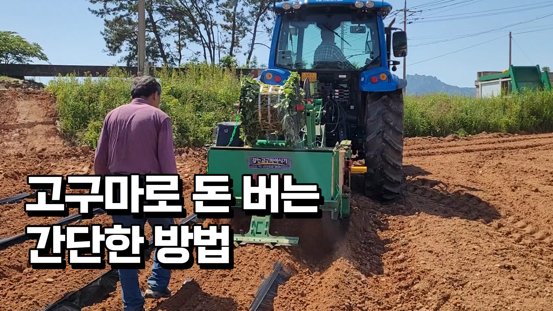 퇴사하고 귀농 5년만에 일년에 40억씩 고구마 키워 파는 40대